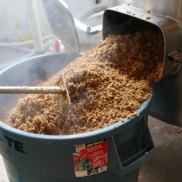 Dried Brewers Grains