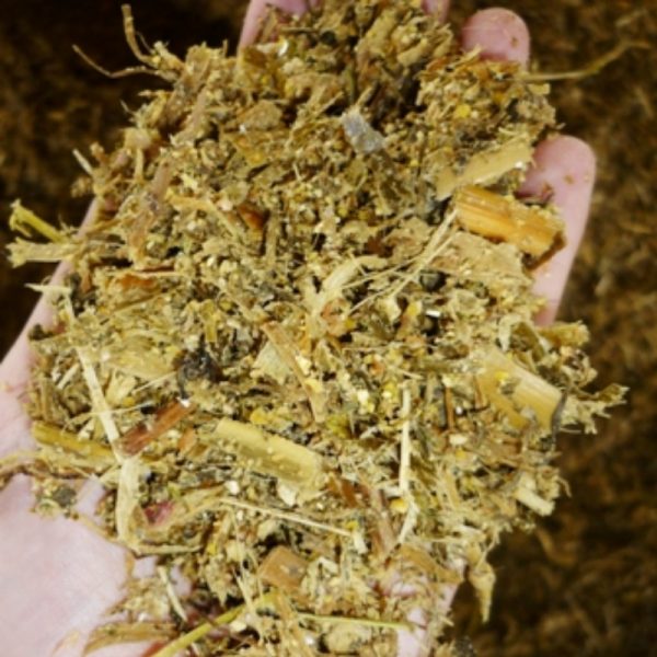 Fermented Bagasse