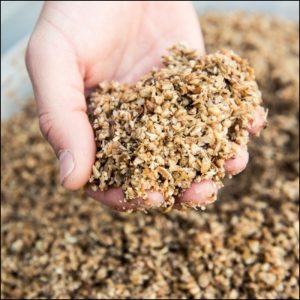 Brewers Grains