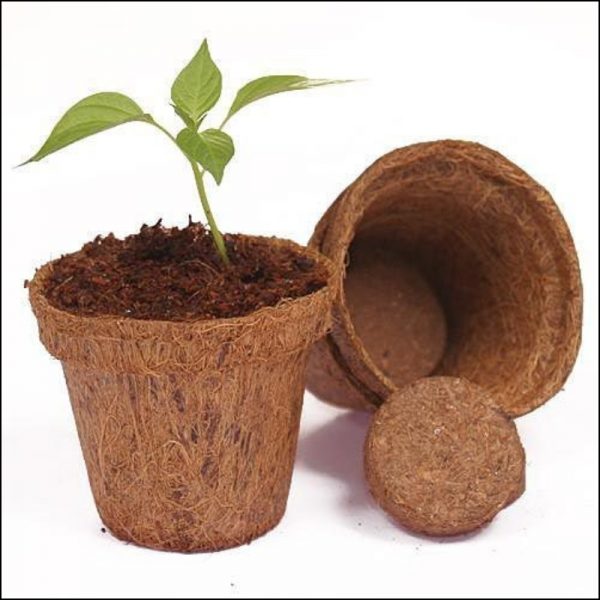 Coco Fiber