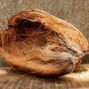 Coco Fiber