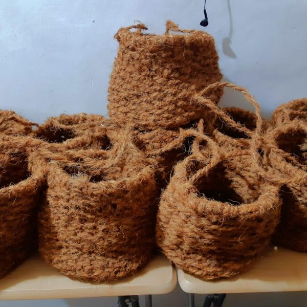 Coco Fiber