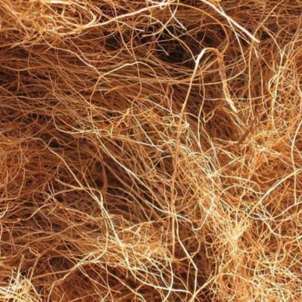 Coco Fiber