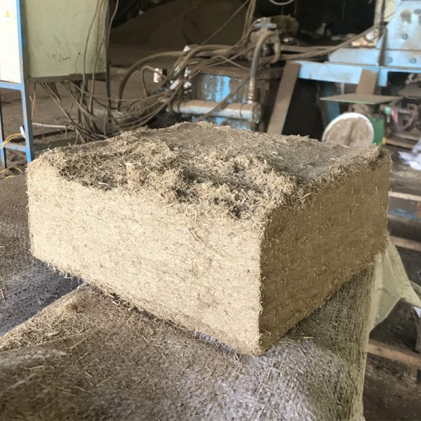 Fermented Residue of Sugarcane
