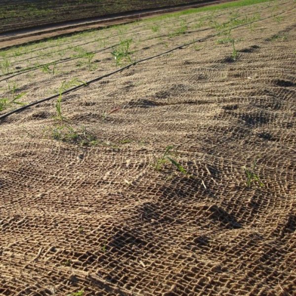 Coir woven mesh