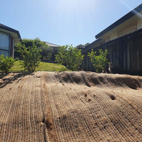 Coir woven mesh